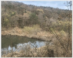  2025Ÿ��10420 ��� ���ֽ� ������ ������ 939-1      ����(��1)���