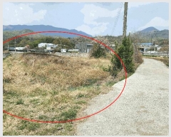  2025Ÿ��10440  ����