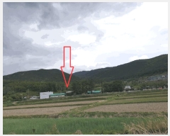  2025Ÿ10464  ֽ  踮 54-3 ٵ     ü