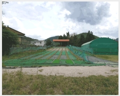  2025Ÿ10464  ֽ  踮 54-3 ٵ     ü