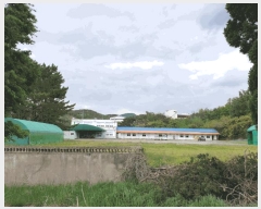  2025Ÿ10464  ֽ  踮 54-3 ٵ     ü