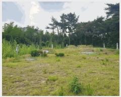  2025Ÿ10480  ֽ õϸ 긮 32-1      (Ӿ)