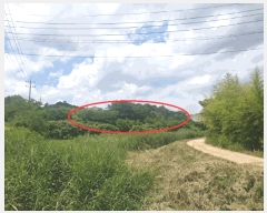  2025Ÿ10480  ֽ õϸ 긮 32-1      (Ӿ)