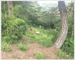  2025Ÿ10480  ֽ õϸ 긮 32-1      (Ӿ)