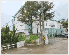  2025Ÿ10484  ֽ ϵ 656-19       ܵ,ð