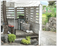  2025Ÿ10484  ֽ ϵ 656-19       ܵ,ð