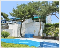  2025Ÿ10484  ֽ ϵ 656-19       ܵ,ð