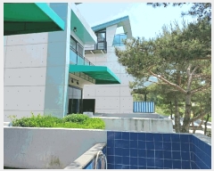  2025Ÿ10484  ֽ ϵ 656-19       ܵ,ð