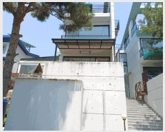  2025Ÿ10484  ֽ ϵ 656-19       ܵ,ð