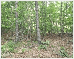  2025Ÿ��10488 ��� ���ֽ� ������ �ε��� ��34      ����(�Ӿ�)���