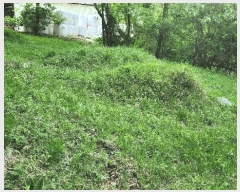  2025Ÿ��10488 ��� ���ֽ� ������ �ε��� ��34      ����(�Ӿ�)���