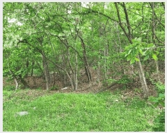  2025Ÿ��10488 ��� ���ֽ� ������ �ε��� ��34      ����(�Ӿ�)���