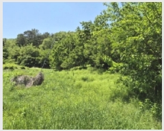  2025Ÿ��10488 ��� ���ֽ� ������ �ε��� ��34      ����(�Ӿ�)���