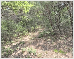  2025Ÿ��10500  �Ӿ߰��