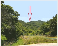  2025Ÿ��10500  �Ӿ߰��