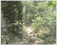  2025Ÿ��10500  �Ӿ߰��