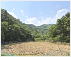  2025Ÿ��10500  �Ӿ߰��