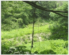  2025Ÿ10507  ֽ ܵ 踮 929-7      ð