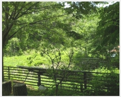  2025Ÿ10507  ֽ ܵ 踮 929-7      ð