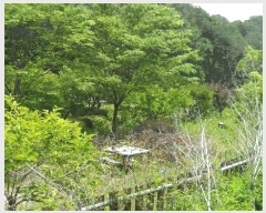  2025Ÿ10507  ֽ ܵ 踮 929-7      ð