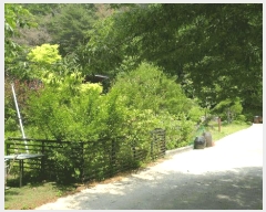  2025Ÿ10507  ֽ ܵ 踮 929-7      ð