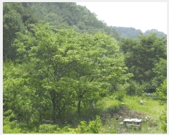  2025Ÿ10507  ֽ ܵ 踮 929-7      ð