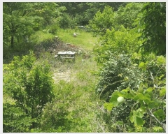  2025Ÿ10507  ֽ ܵ 踮 929-7      ð