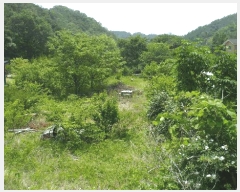  2025Ÿ10507  ֽ ܵ 踮 929-7      ð