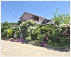  2025Ÿ10520  ֽ Ȱ 縮 1089-6      ð