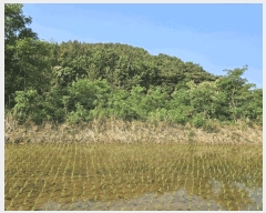  2025Ÿ��10524 ��� ���ֽ� ������ ���ݸ� ��23      ����(�Ӿ�)���