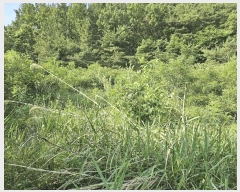  2025Ÿ��10524 ��� ���ֽ� ������ ���ݸ� ��23      ����(�Ӿ�)���