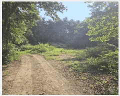  2025Ÿ��10524 ��� ���ֽ� ������ ���ݸ� ��23      ����(�Ӿ�)���