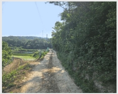  2025Ÿ��10524 ��� ���ֽ� ������ ���ݸ� ��23      ����(�Ӿ�)���