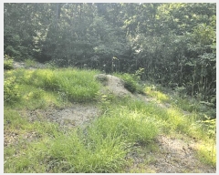  2025Ÿ��10524 ��� ���ֽ� ������ ���ݸ� ��23      ����(�Ӿ�)���