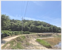  2025Ÿ��10524 ��� ���ֽ� ������ ���ݸ� ��23      ����(�Ӿ�)���