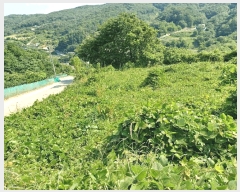  2025Ÿ10528  ֽ 糲 Ŵ븮 270      (Ӿ)