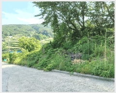  2025Ÿ10528  ֽ 糲 Ŵ븮 270      (Ӿ)