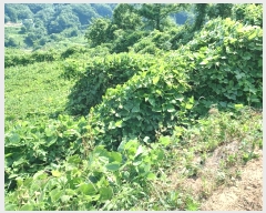  2025Ÿ10528  ֽ 糲 Ŵ븮 270      (Ӿ)