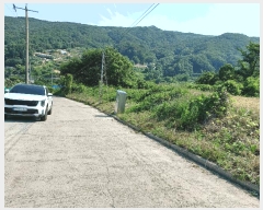  2025Ÿ10528  ֽ 糲 Ŵ븮 270      (Ӿ)