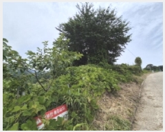  2025Ÿ10528  ֽ 糲 Ŵ븮 270      (Ӿ)