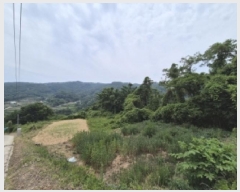  2025Ÿ10528  ֽ 糲 Ŵ븮 270      (Ӿ)