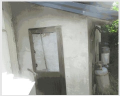  2025Ÿ10536  ֽ õϸ 긮 353-1      ()