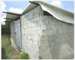  2025Ÿ10536  ֽ õϸ 긮 353-1      ()