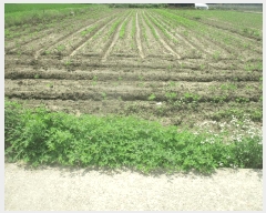  2025Ÿ10536  ֽ õϸ 긮 353-1      ()