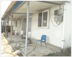  2025Ÿ10536  ֽ õϸ 긮 353-1      ()