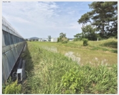  2025Ÿ10536  ֽ õϸ 긮 353-1      ()