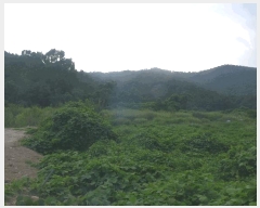  2025Ÿ��10556 ��� ���ֽ� �糲�� ȯ���� 767-6      ����(��)���