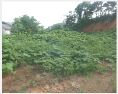  2025Ÿ��10556 ��� ���ֽ� �糲�� ȯ���� 767-6      ����(��)���