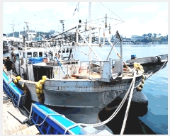  2025Ÿ10560 ֽ          ڰ