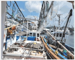  2025Ÿ10560 ֽ          ڰ